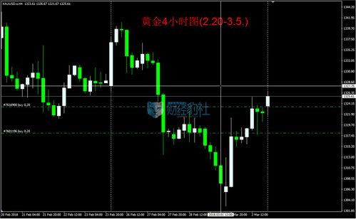 人工智能與太極智能交易軟件運行分析 第11期應用軟件開發探索